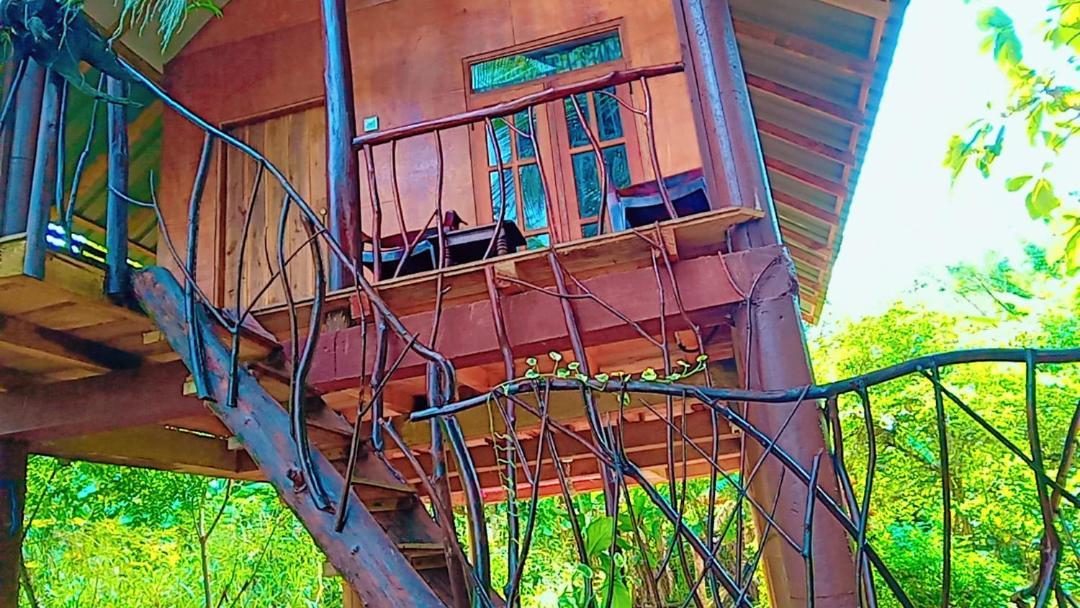 Готель Sigiri Aliya Tree House Сігірія Екстер'єр фото
